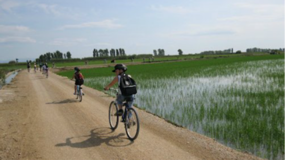 Les Terres de l'Ebre，一颗适合家庭度假的天然宝石