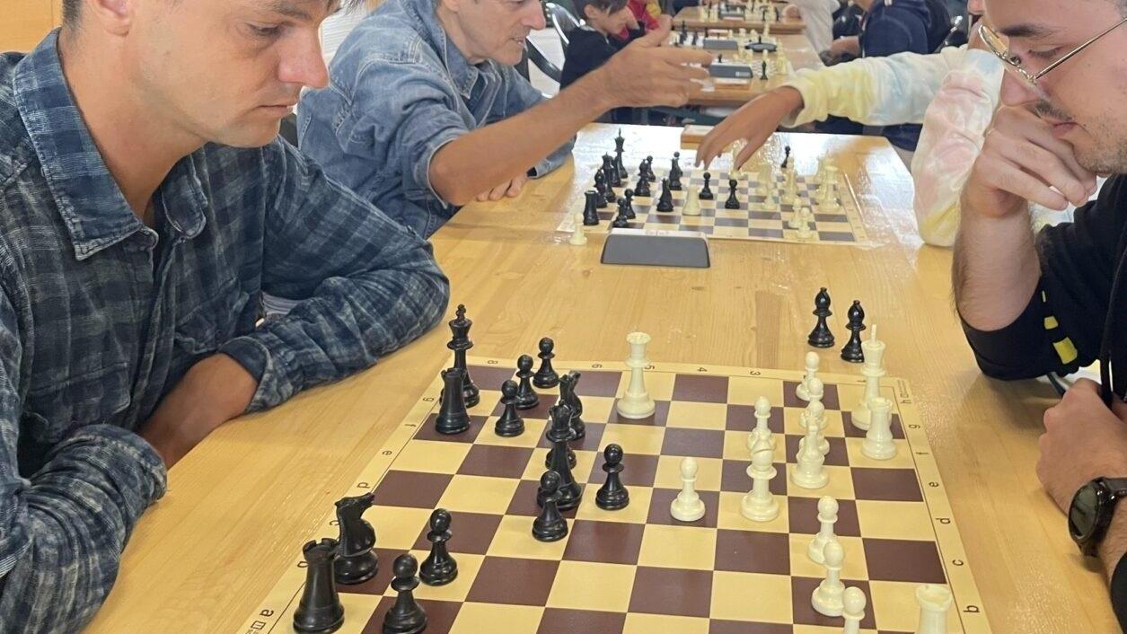 棋子、骑士和国王之间的挑战。广场上的国际象棋比赛